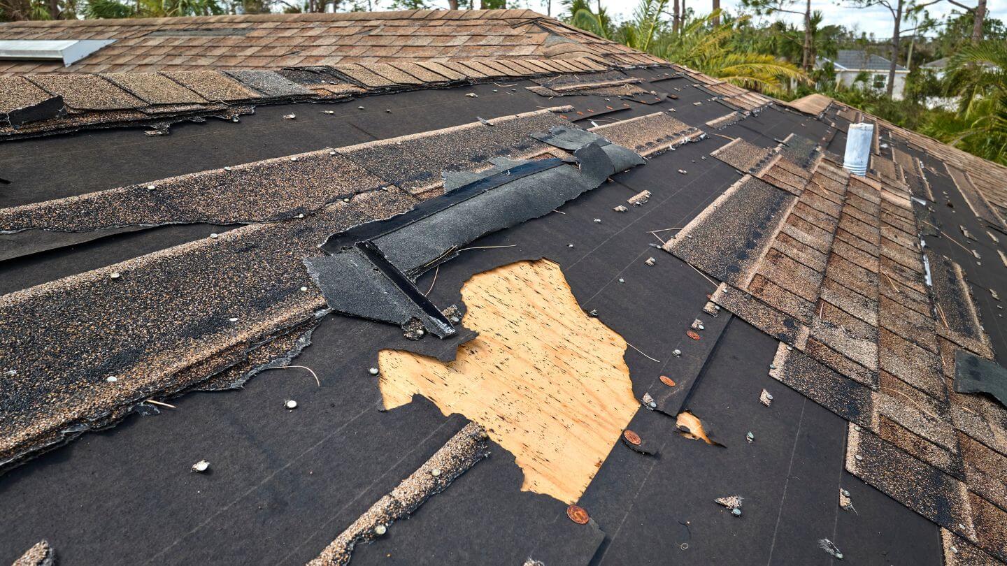 Emergency Roof Leak? Here’s What to Do in the First 24 Hours